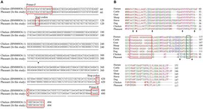 Novel polymorphisms and genetic studies of the shadow of prion protein gene (SPRN) in pheasants